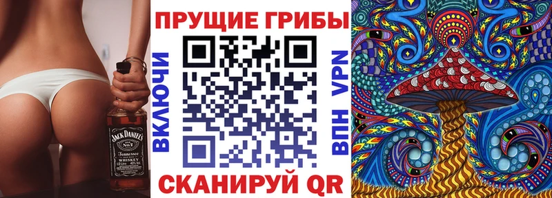 Псилоцибиновые грибы прущие грибы  Купить закладки  Аргун 